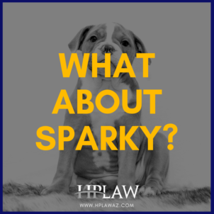What About Sparky?